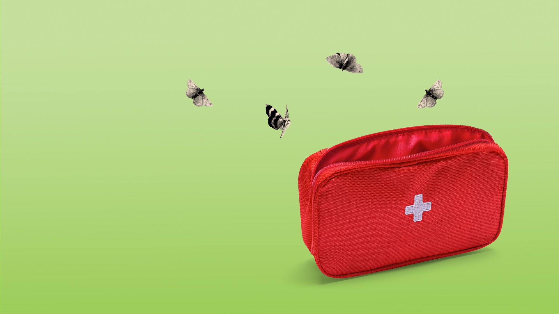 Illustration of a first aid bag with moths flying out.