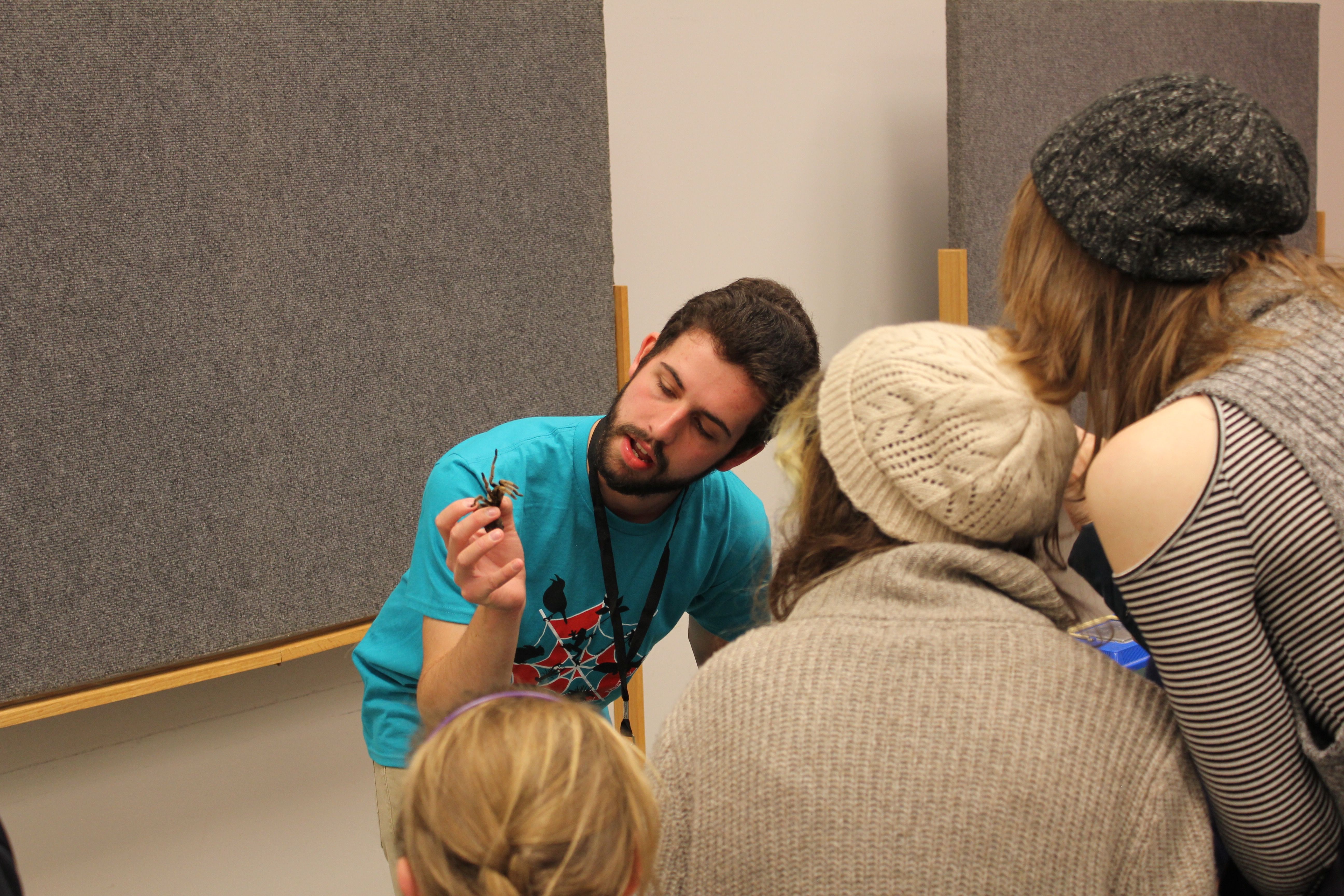 A bearded man in a bright turquoise t‑shirt holds up a large spider for a group of people wearing knit hats, leaning in to observe in a classroom with gray panels.
