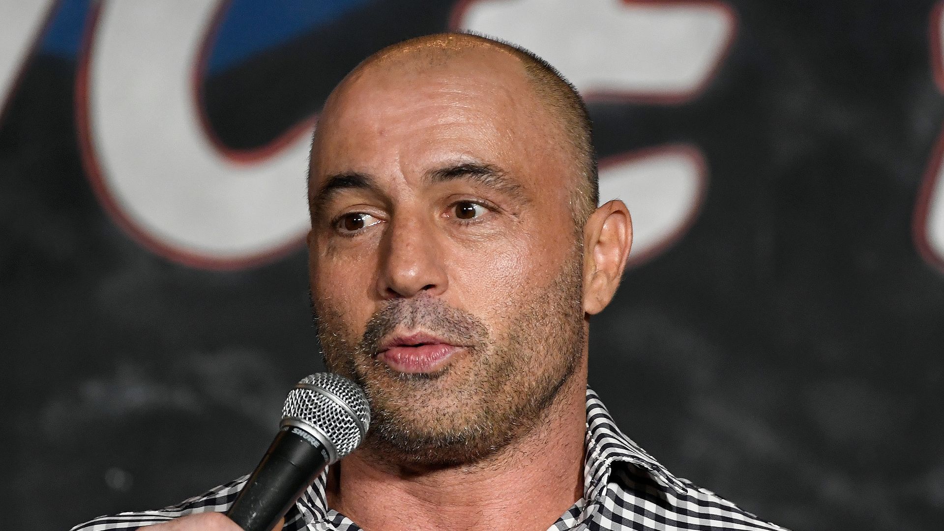 Picture of Joe Rogan