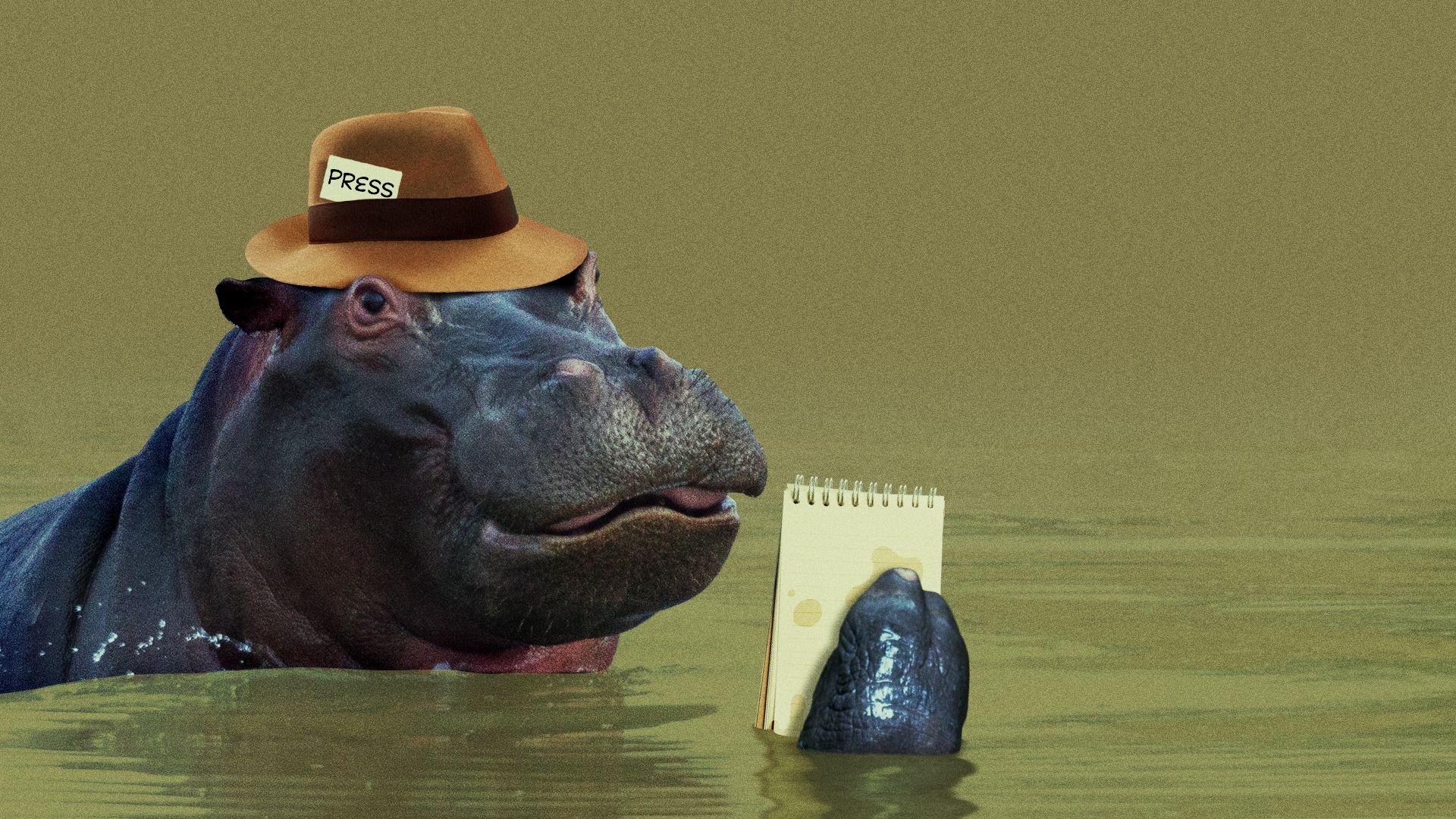 Illustration of a hippopotamus dressed as a reporter with a press pass in its hat.