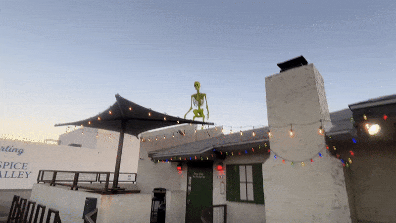 A zoomed in gif of a skepeton.