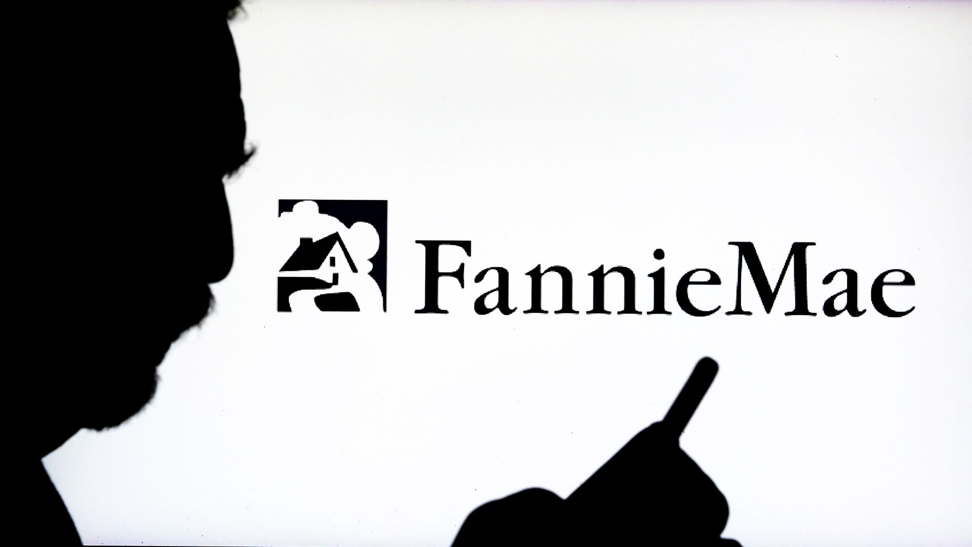The logo of Fannie Mae seen on a computer monitor with a man's silhouette to the left.