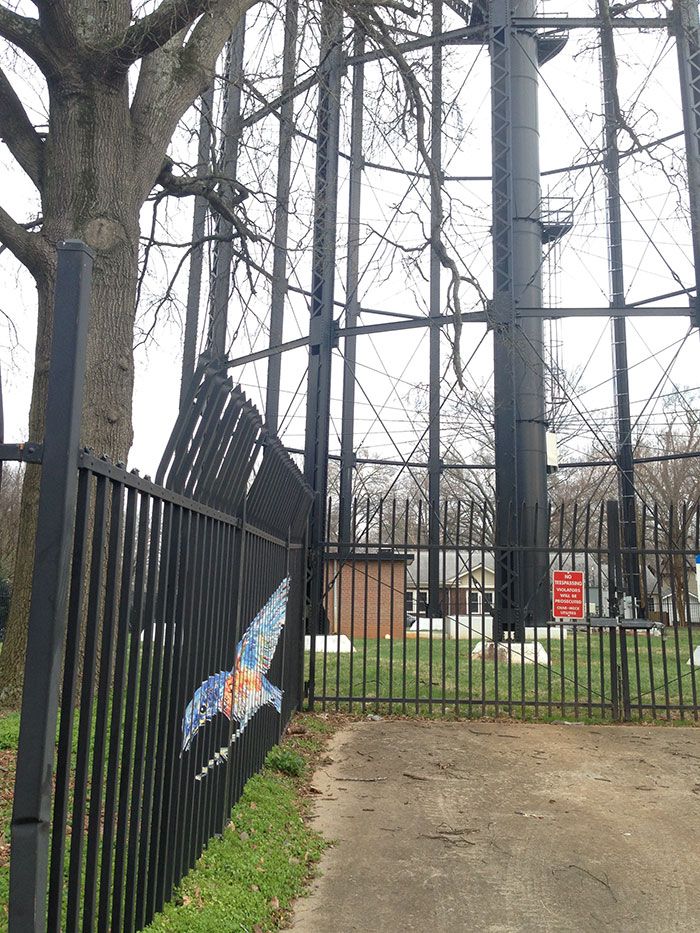 elizabeth water tower