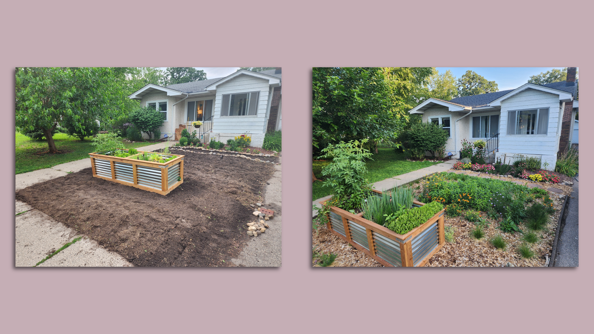 A yard before with dirt and a planted and after with much and native plants