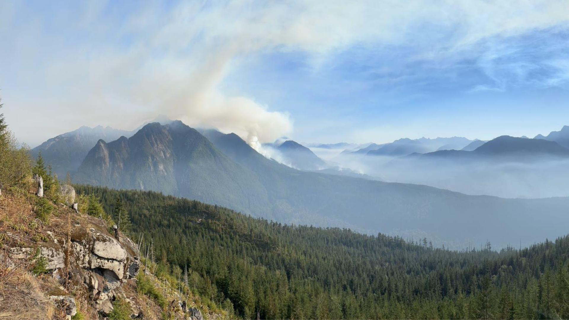 Smoke on a rocky terrain area with lots of trees.