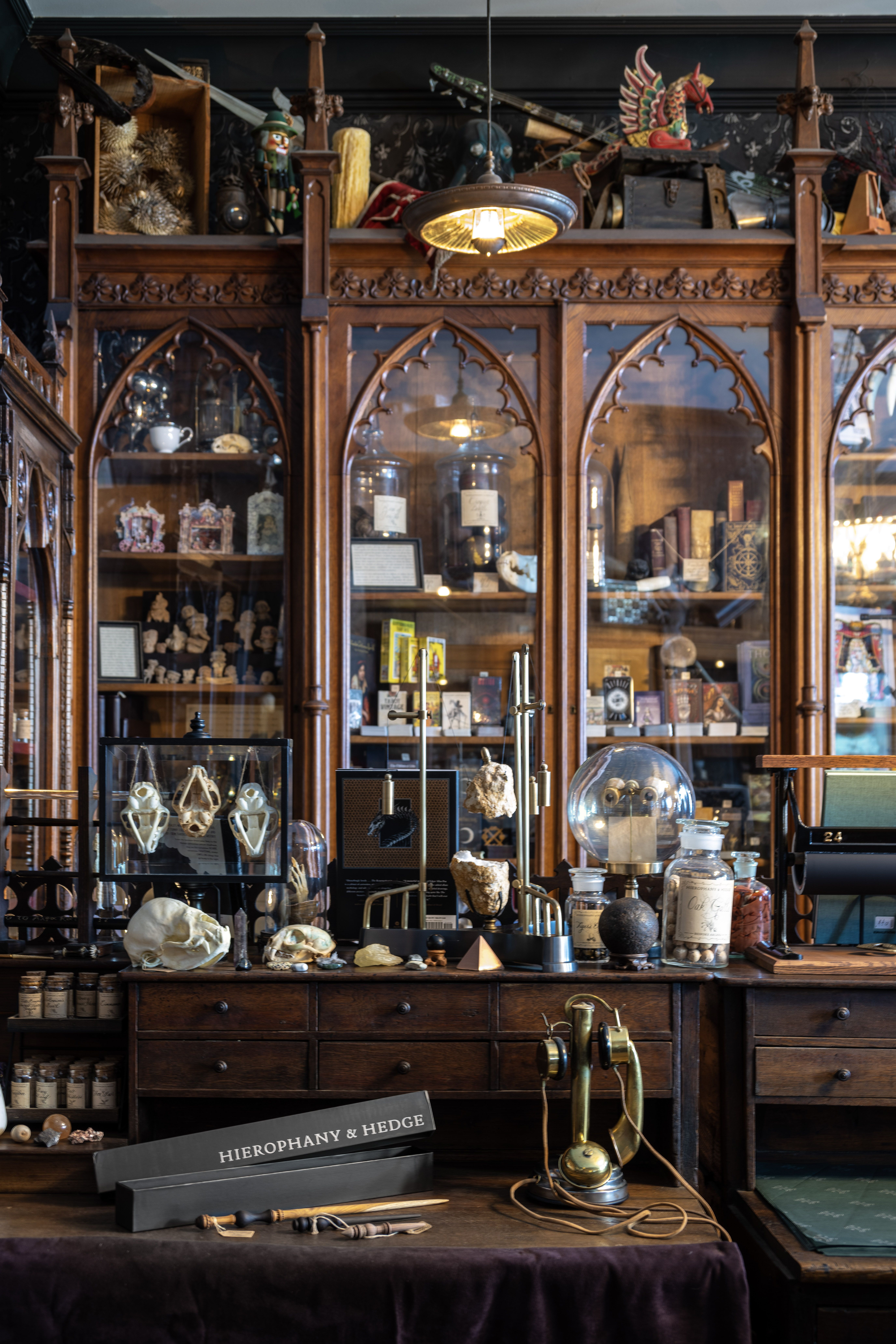 Dark wood cabinet with arched glass doors, filled with jars, skulls, bones and curios; a hanging brass lamp above and shelves of trinkets and books, in a vintage curiosities shop.