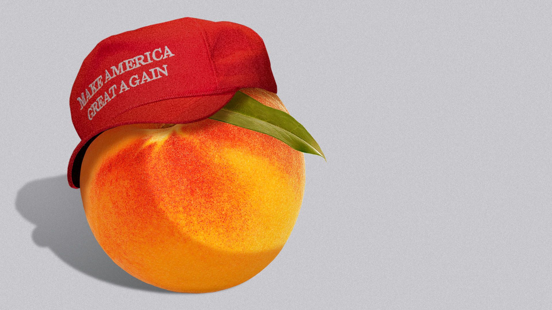 Illustration of a peach wearing a MAGA hat