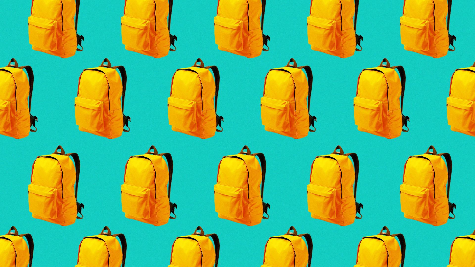 Illustration of a pattern for backpacks.