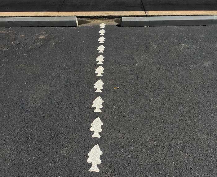 parking-lot-at-meat-and-fish-co