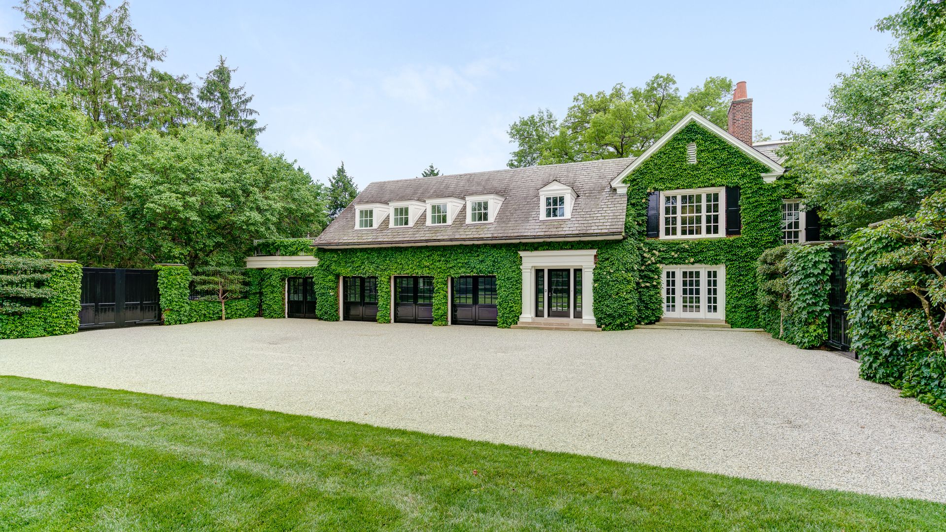 house covered in lush greenery
