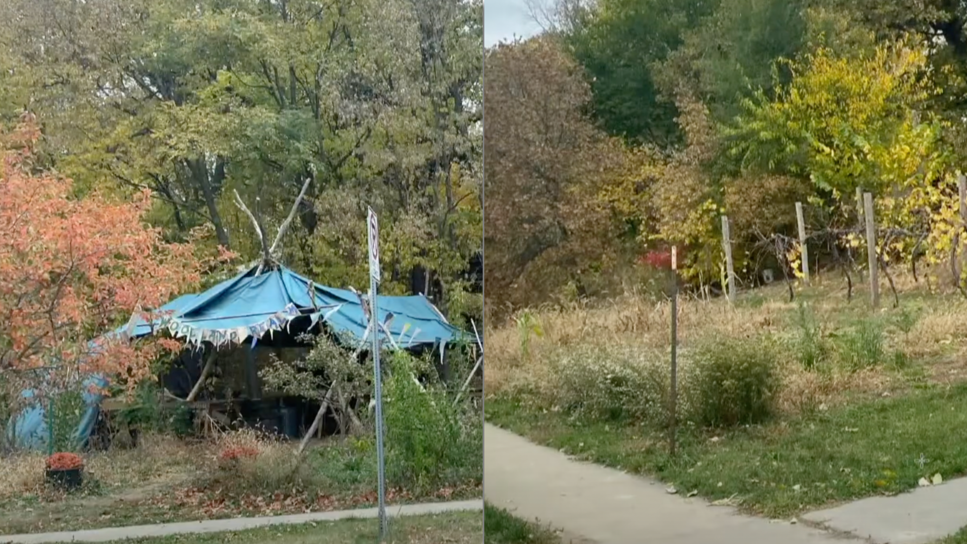 Left: showing a shelter from the woodland realm, right showing garden from woodland realm