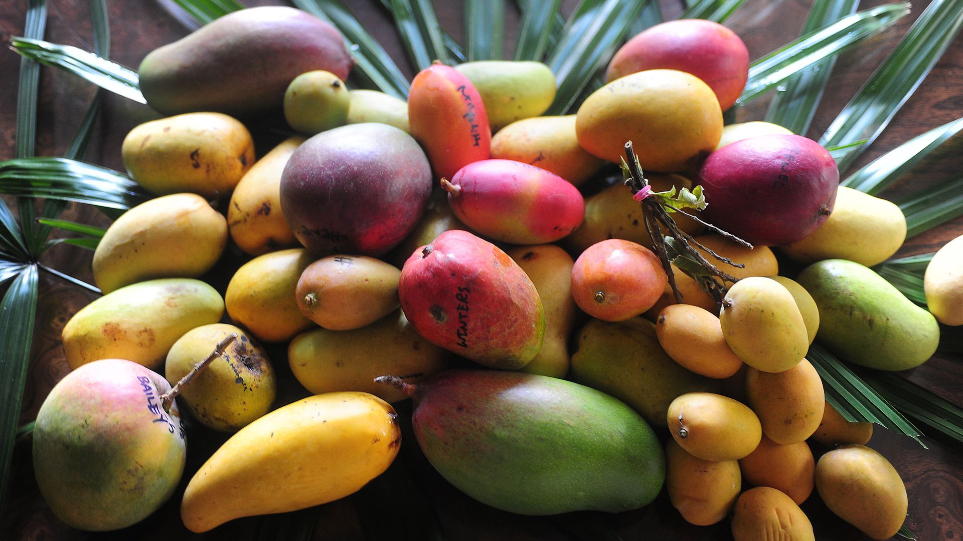 A bunch of mangos.