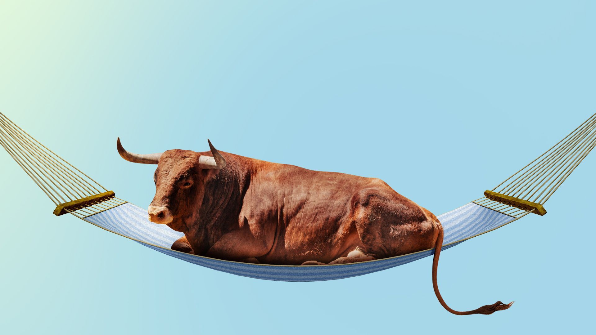 Illustration of a bull in a hammock.