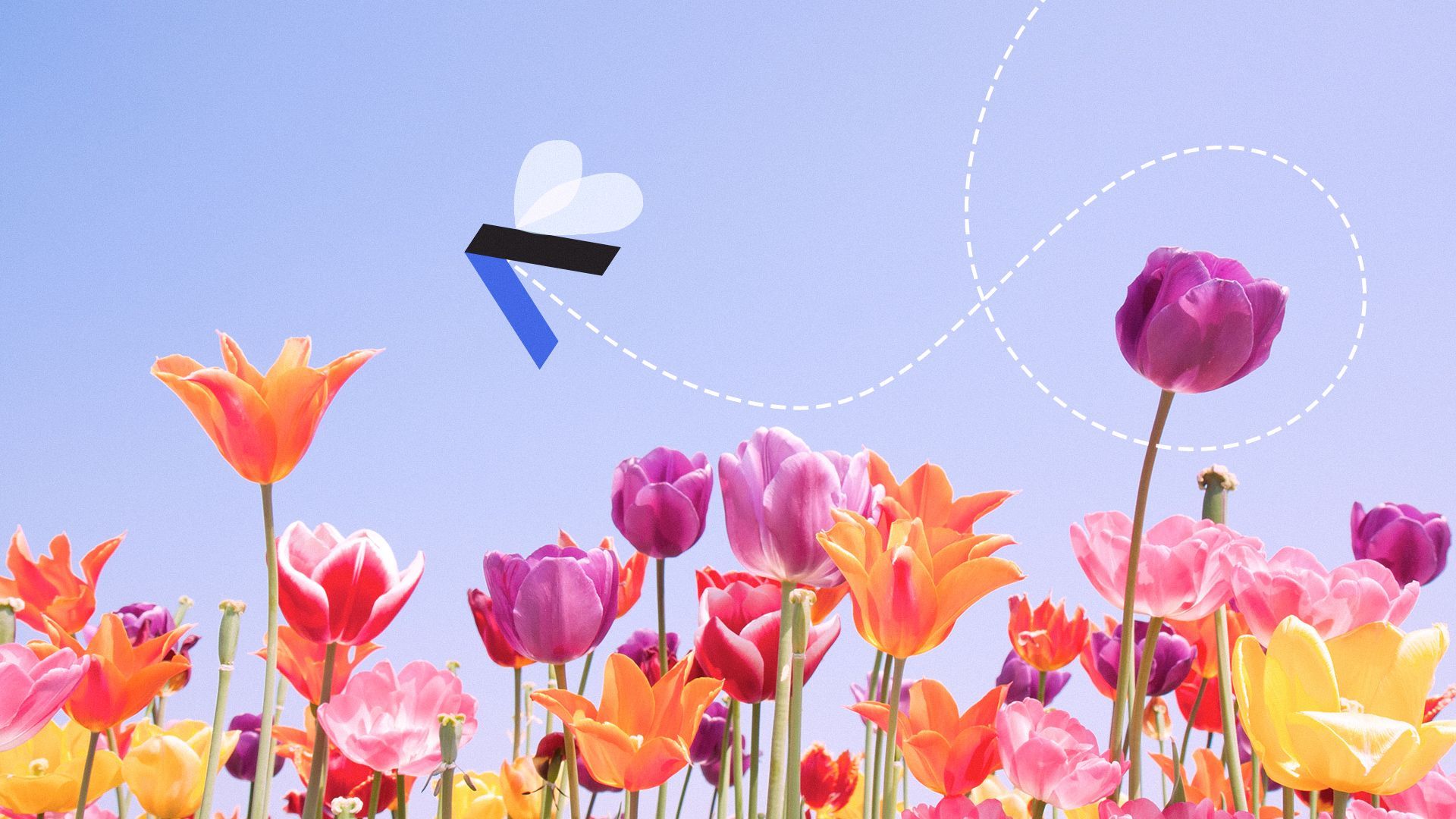 Illustration of spring flowers with an Axios "A" logo stylized as a bee buzzing between the blooms. 