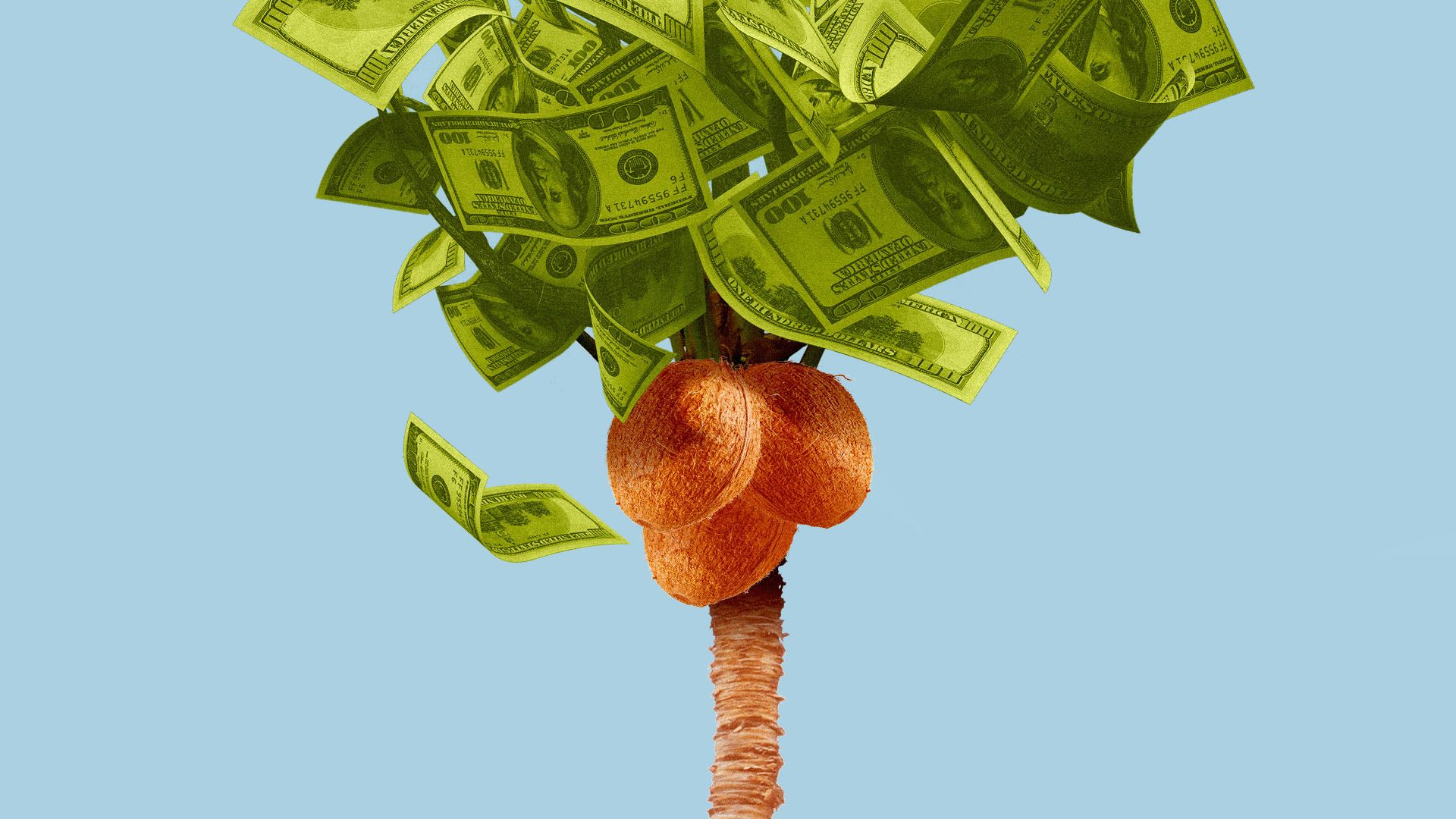 Illustration of a coconut tree with money for the leaves.