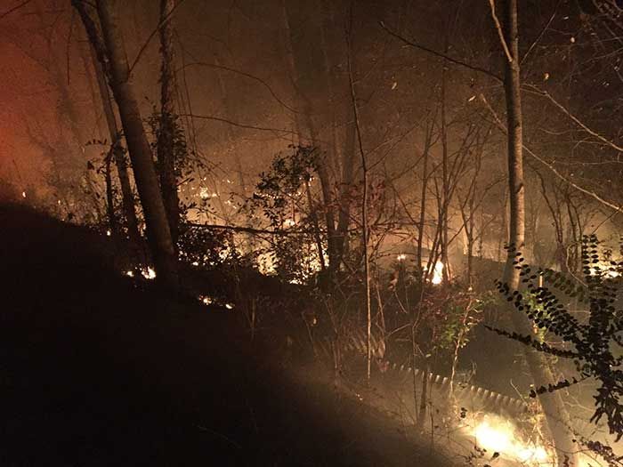 Photo by McDowell County 911