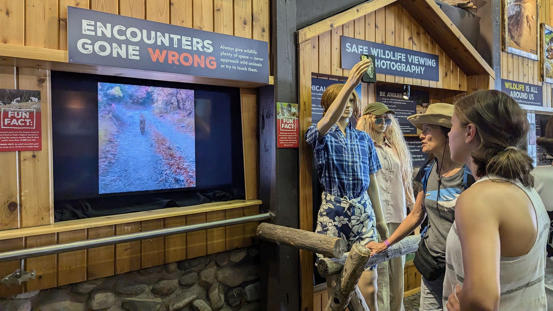Two women watch a video of a cougar under a sign that reads "Encounters gone wrong." 