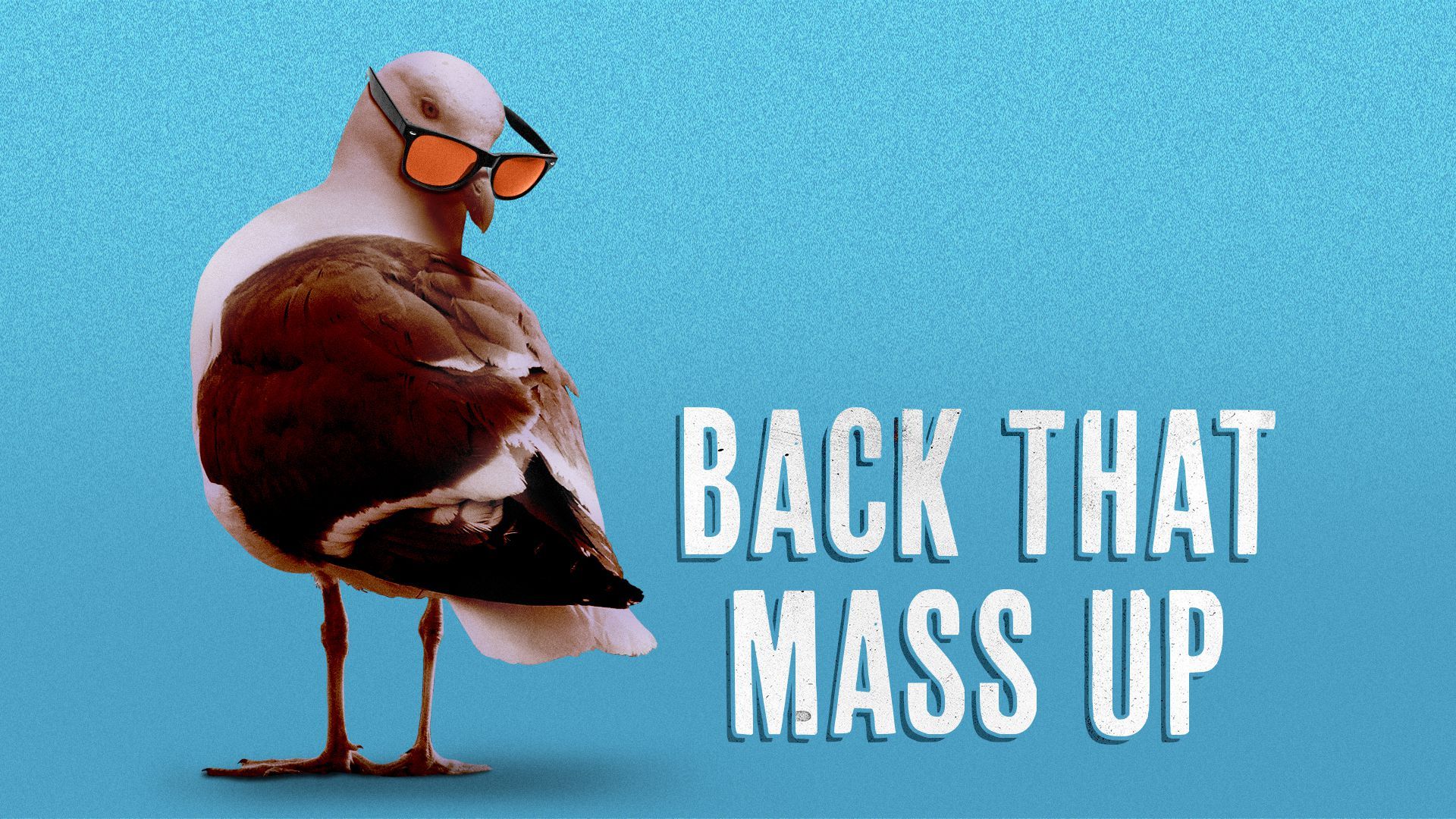 Illustration of a seagull wearing sunglasses looking over its shoulder.