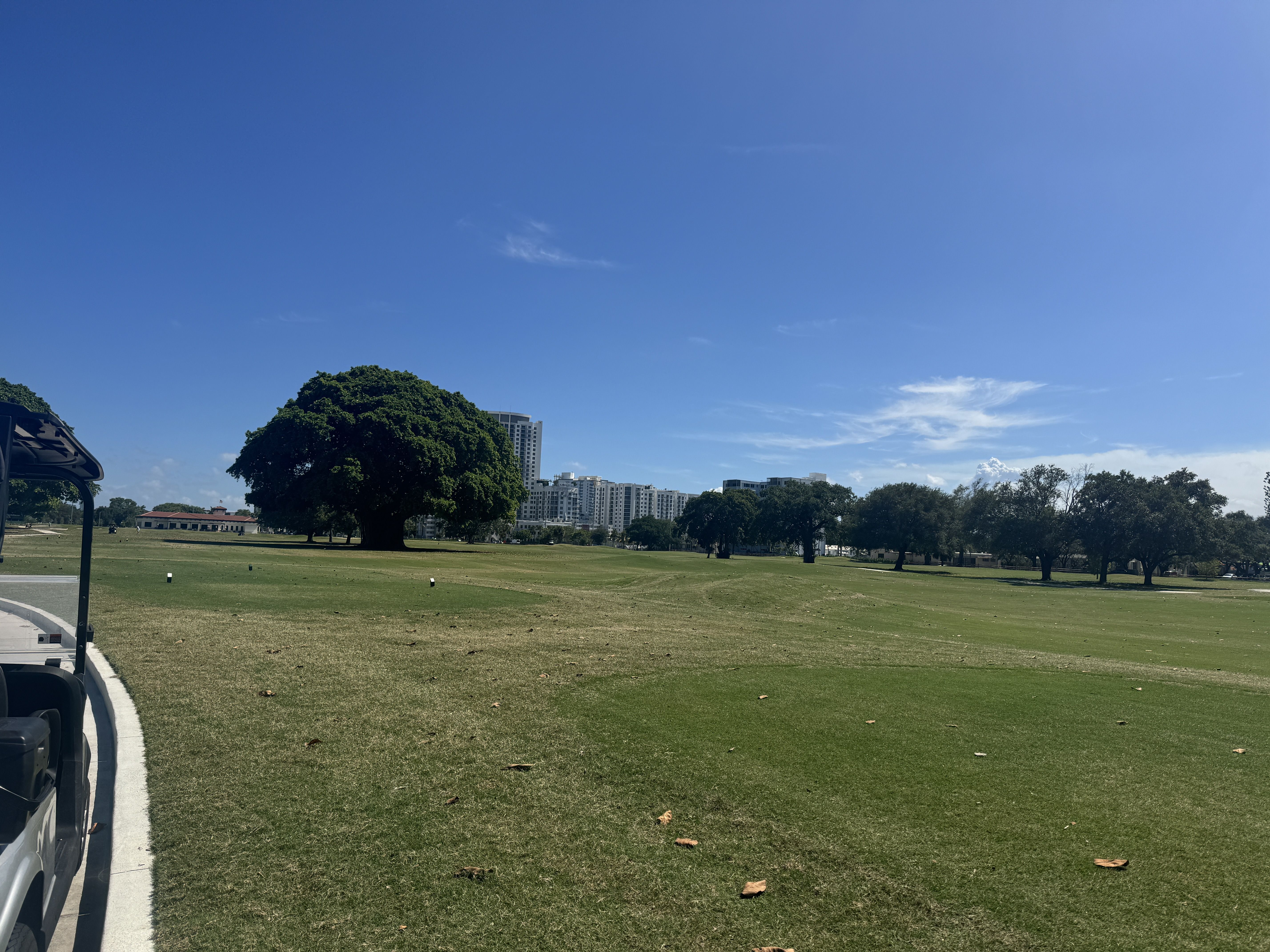 Golf course under a clear blue sky with wispy clouds. A large tree dominates the foreground grass; distant apartment buildings line the horizon; a vehicle edge appears on the left.
