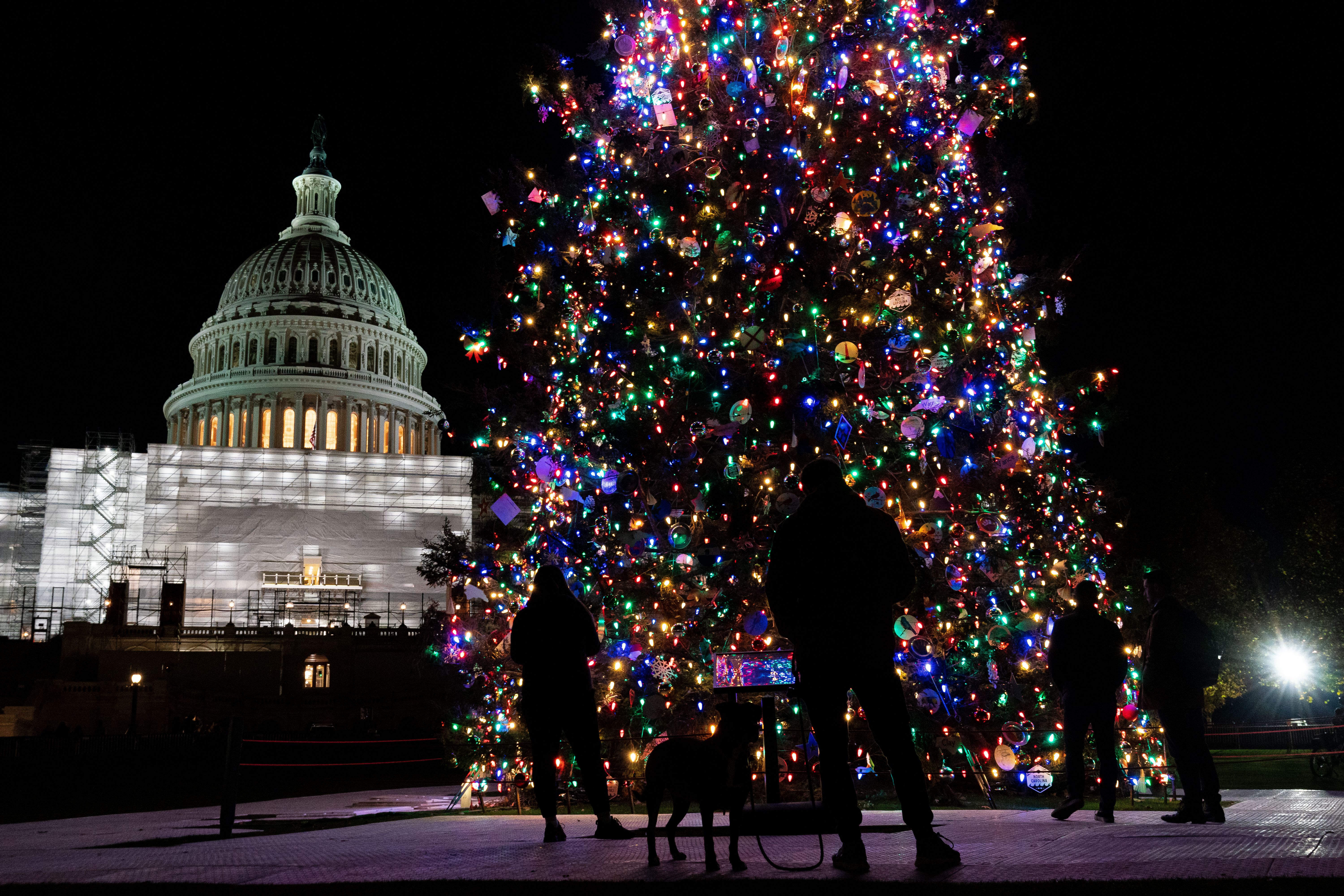 Χριστουγεννιάτικο δέντρο του Καπιτωλίου το 2023