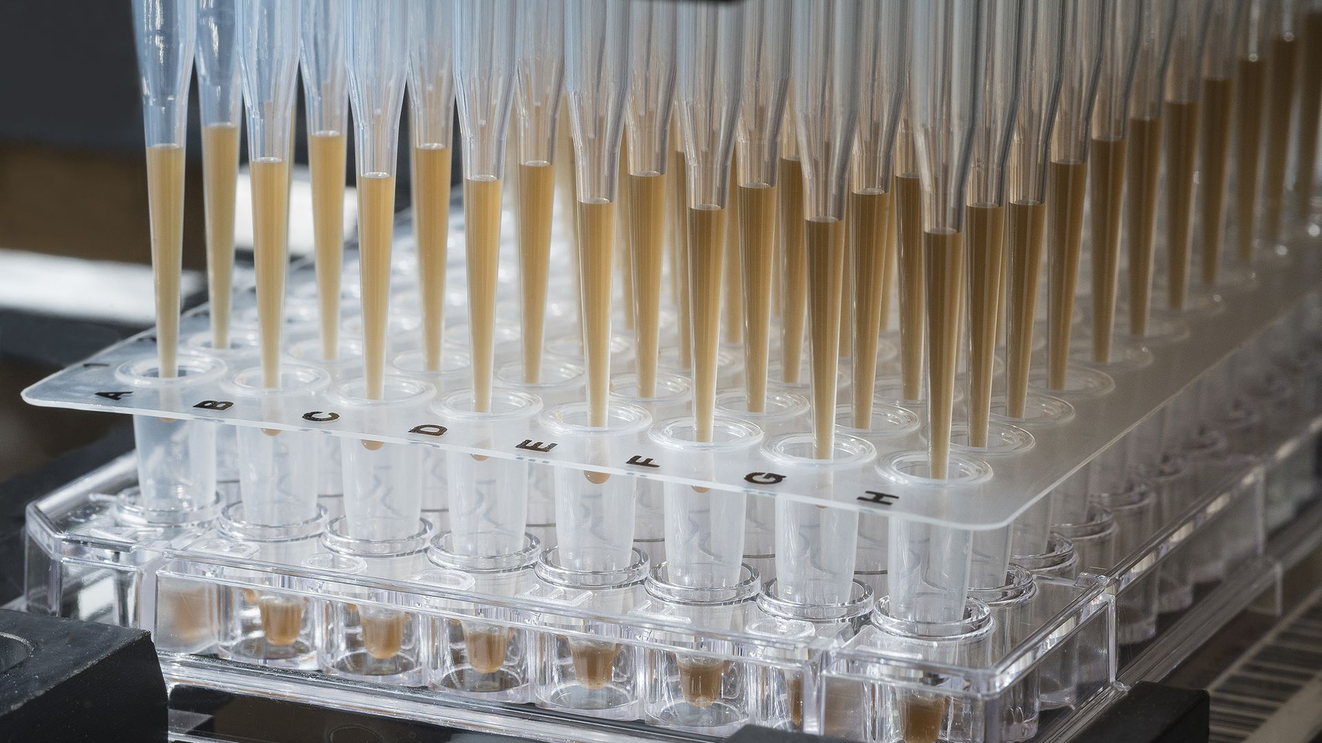 A robot processes samples for evaluation from the blood-based CancerSEEK test.