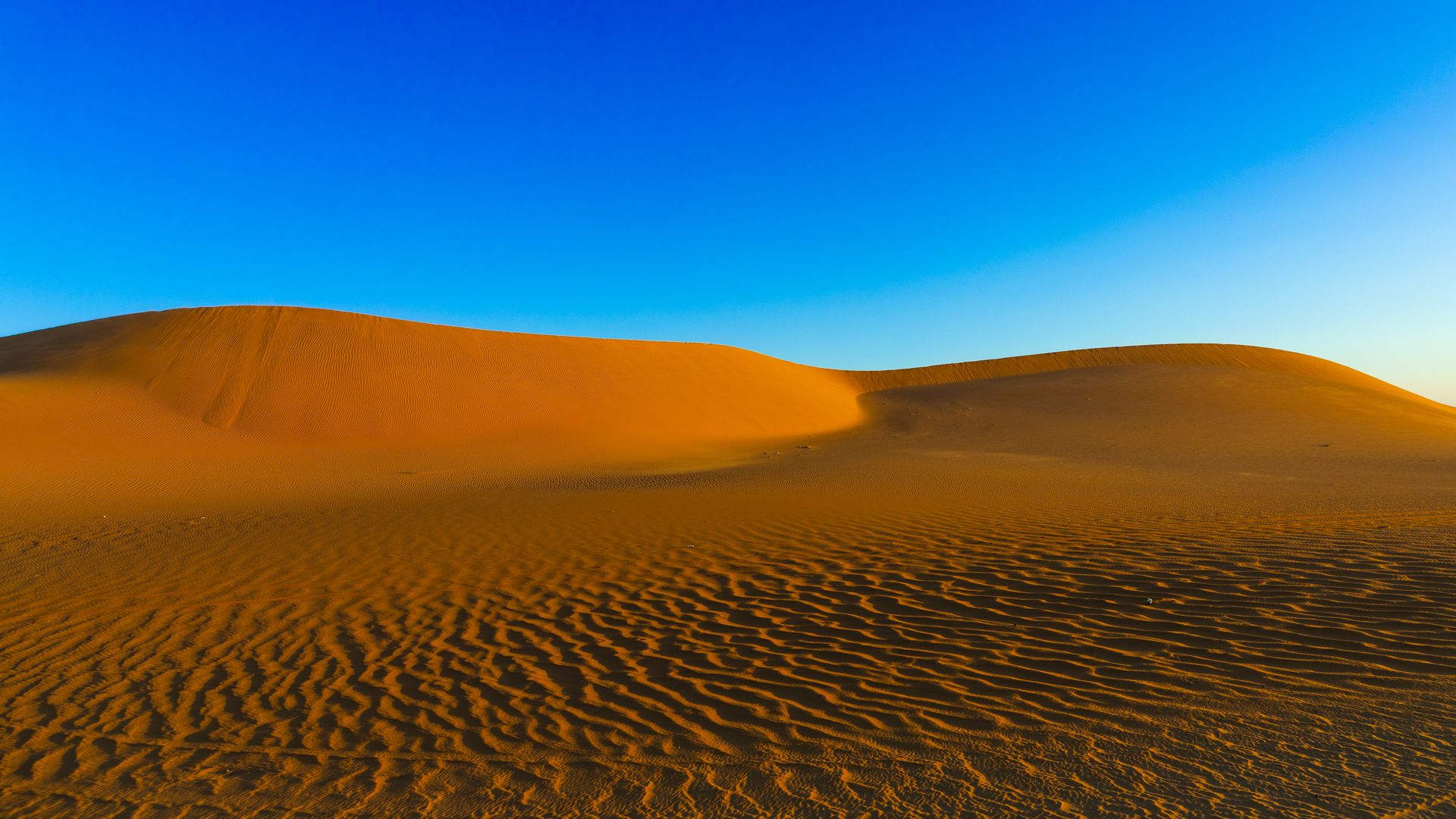 Sand dunes in the Rub' al Khali empty quarter desert, Najran province, Khubash, Saudi Arabia on January 2, 2020 in Khubash, Saudi Arabia.