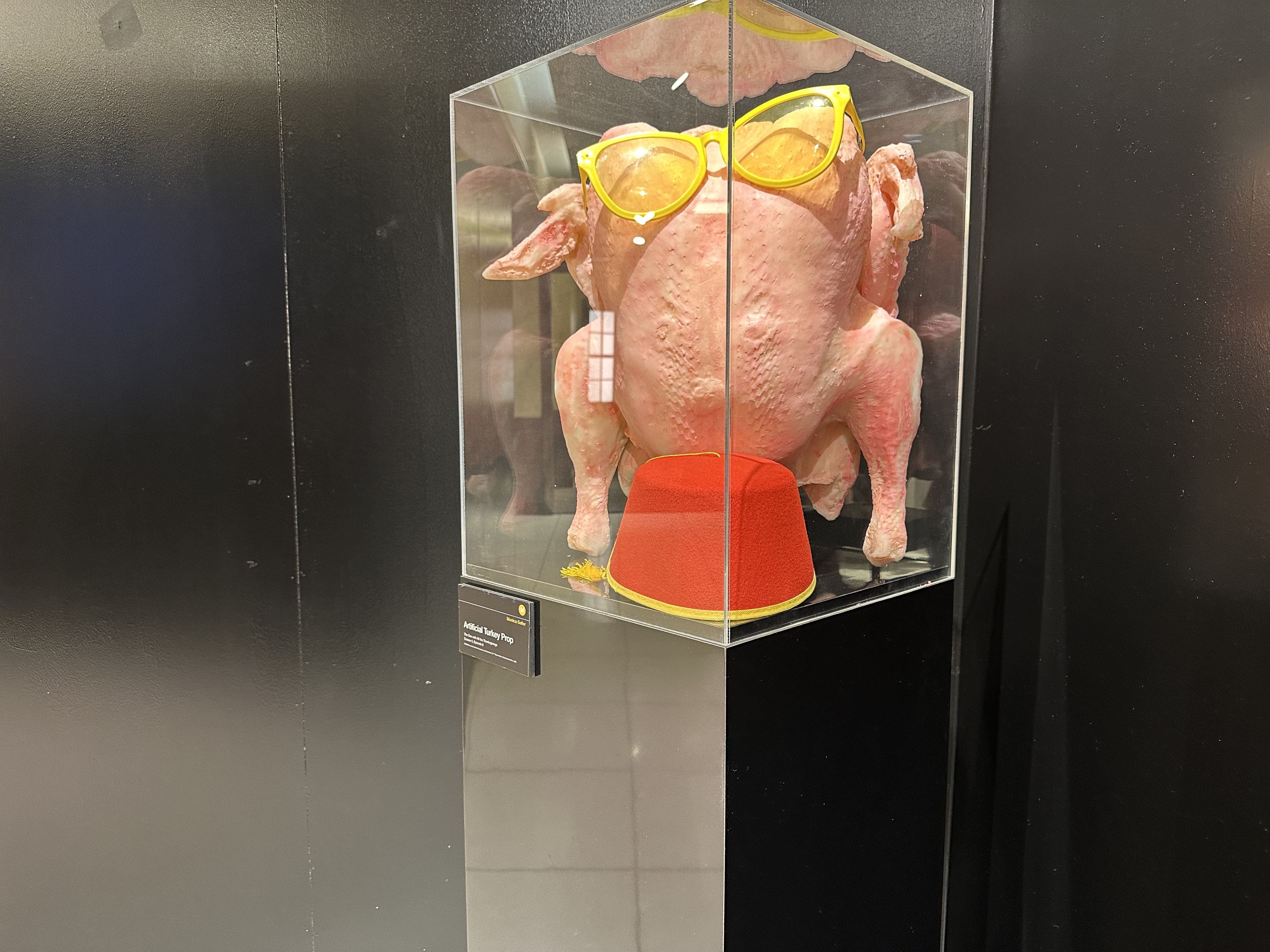 A glass case with a replica of Turkey Head, a nude, raw turkey, from "Friends" as seen in "The Friends Experience" in Boston.