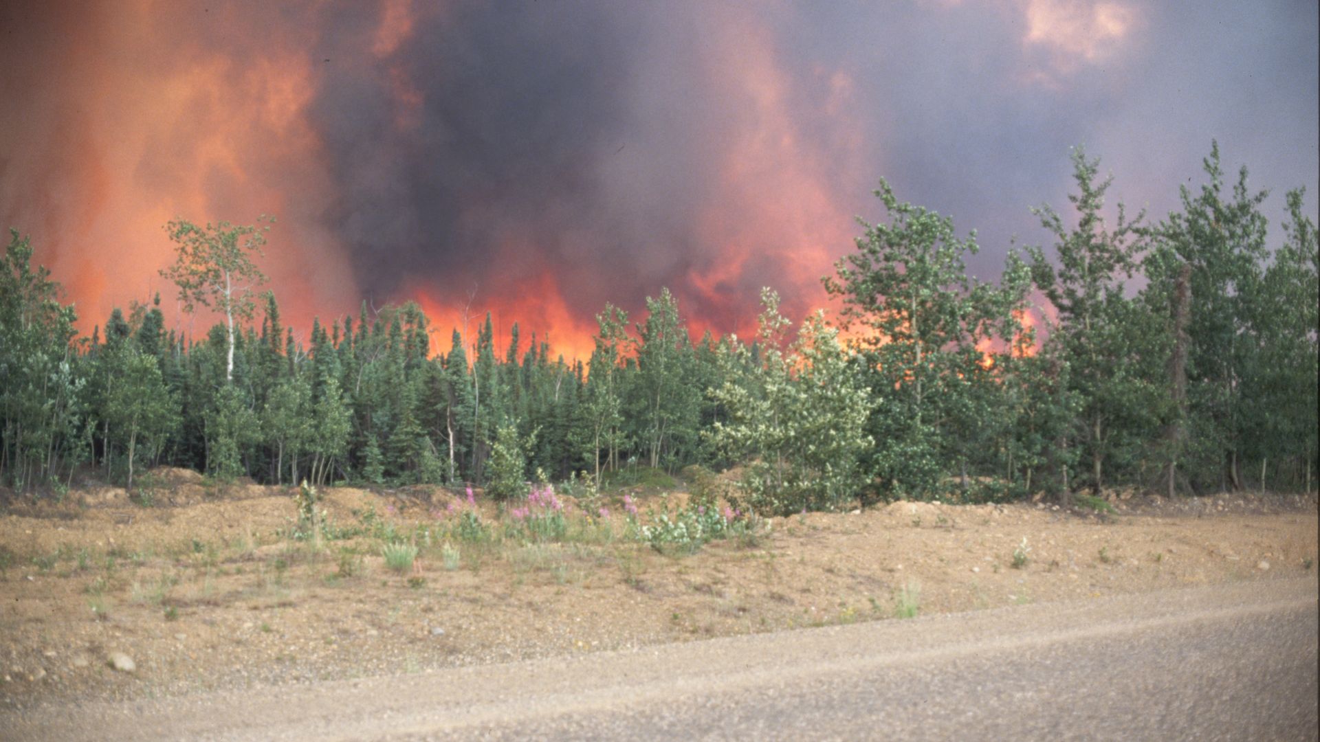 A forest fire rages through Klondike, Alaska.