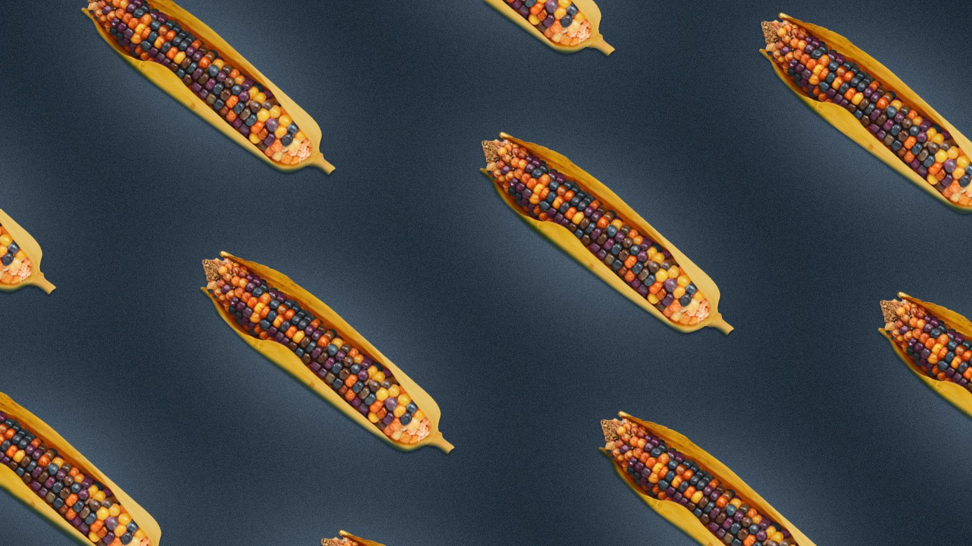 Illustration of a repeating pattern of flint corn. 