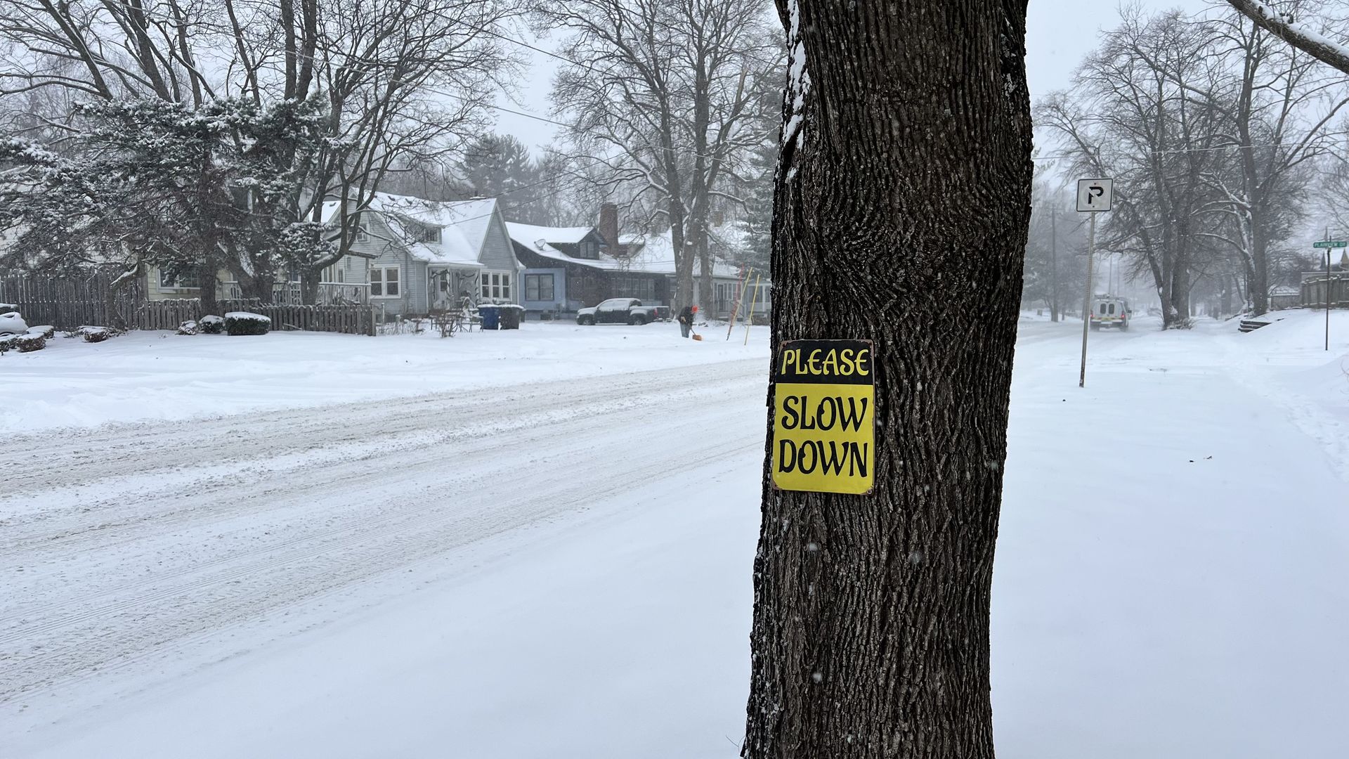 please slow down on a sign on a tree
