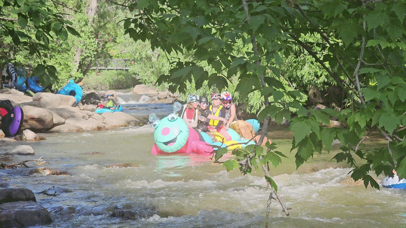 Four tubers on a large inflatable caterpillar tube make their way down a creek.