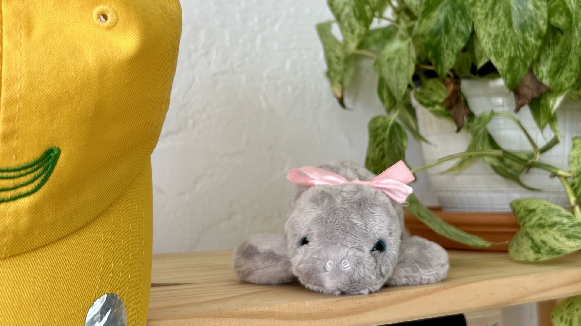 Manatee stuffed animal on a shelf. 