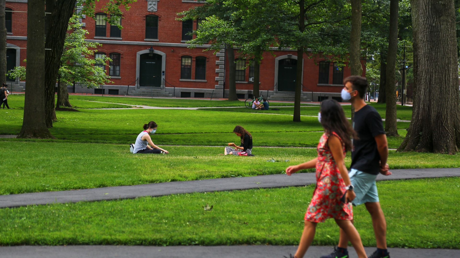 Harvard students enjoy the summer of 2020 in Cambridge.