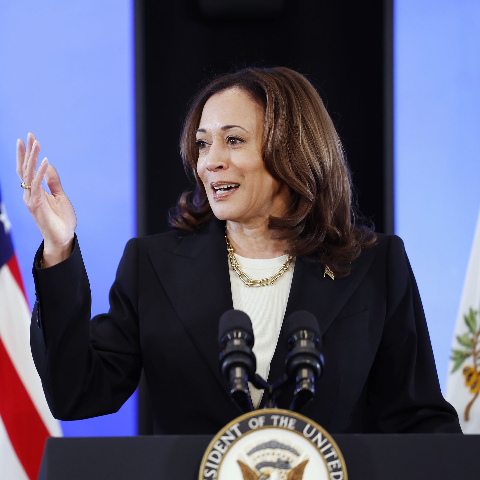 Kamala Harris: What to know about the vice president and former U.S. senator