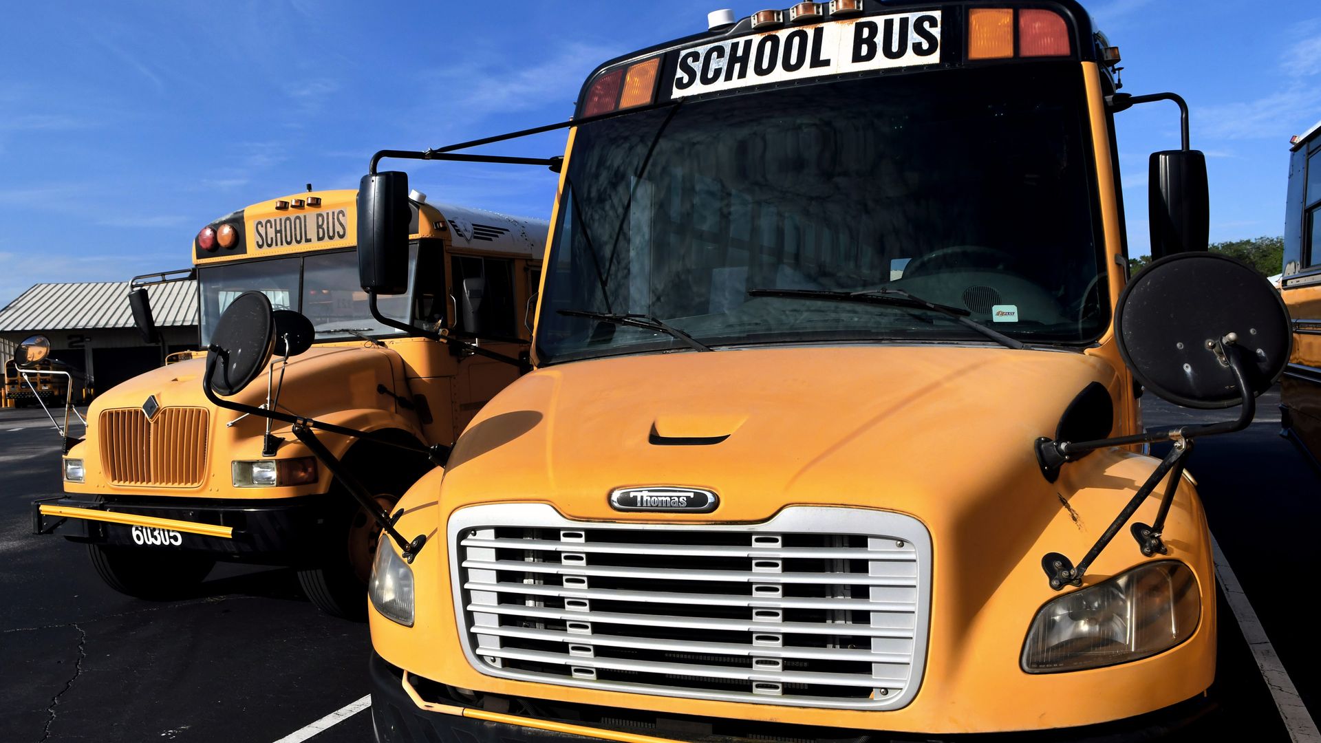 Yellow school buses parked