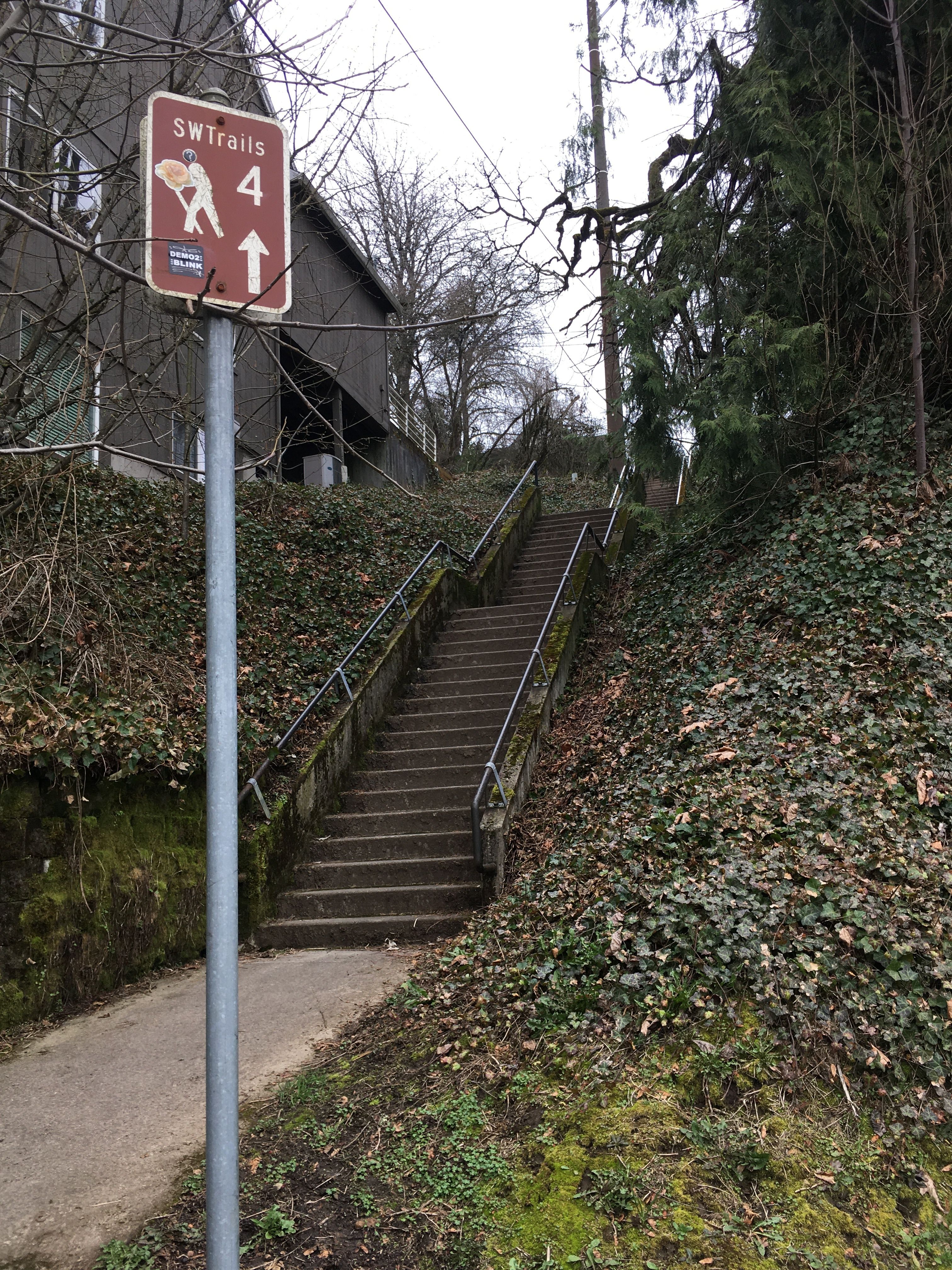 Concrete stairs with round metal handrails rise between banks of ivy. A brown sign says SW Trails 4 , with an arrow pointing up the steps.