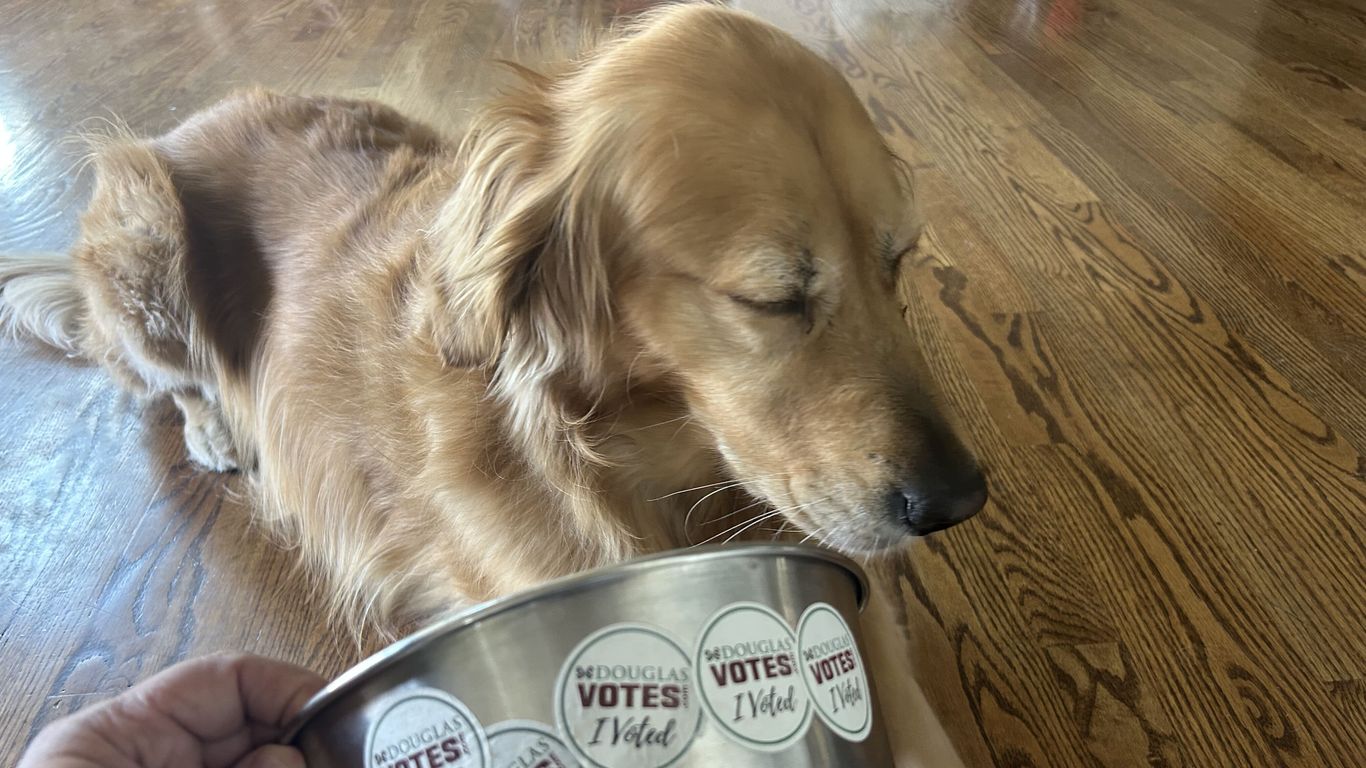 Arapahoe County dog bowl tracks voting years