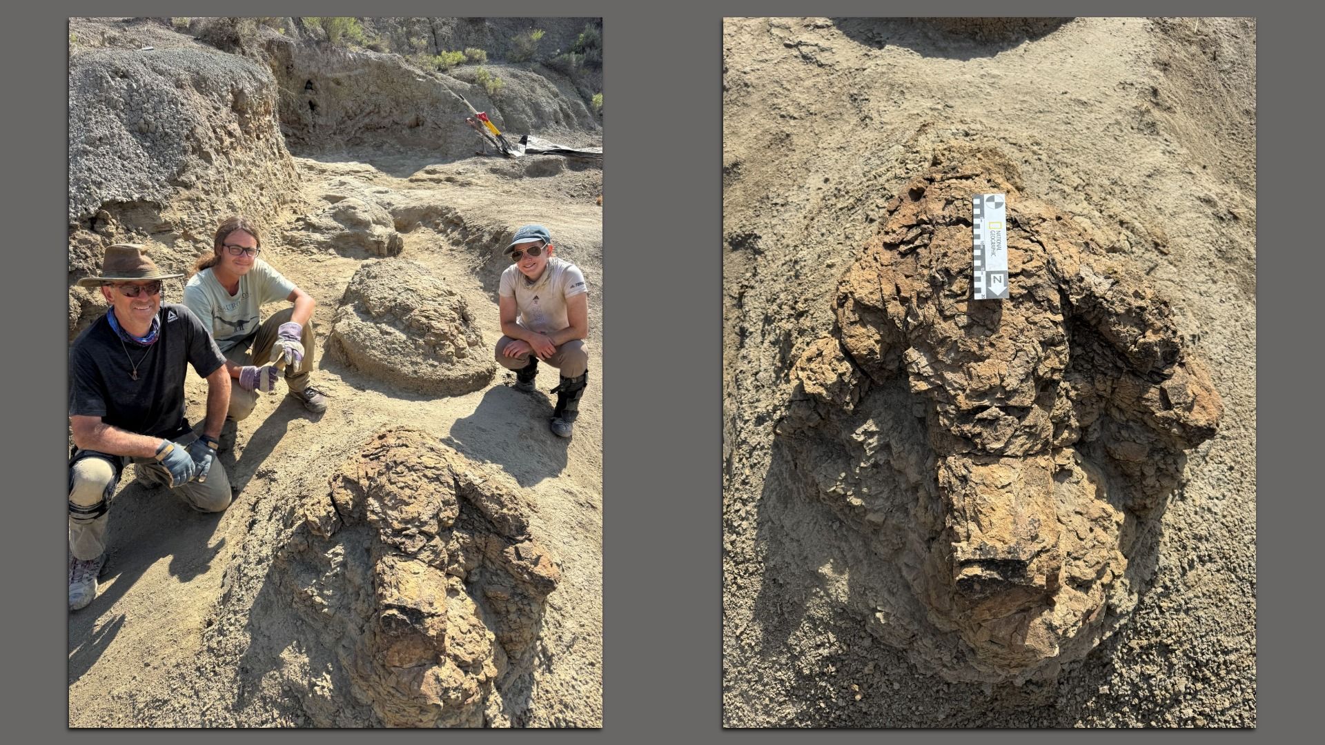 Left panel shows three people wearing hats and gloves crouching on a dusty, rocky excavation site; right panel features a close-up of a brown rock with a vertical measurement scale.