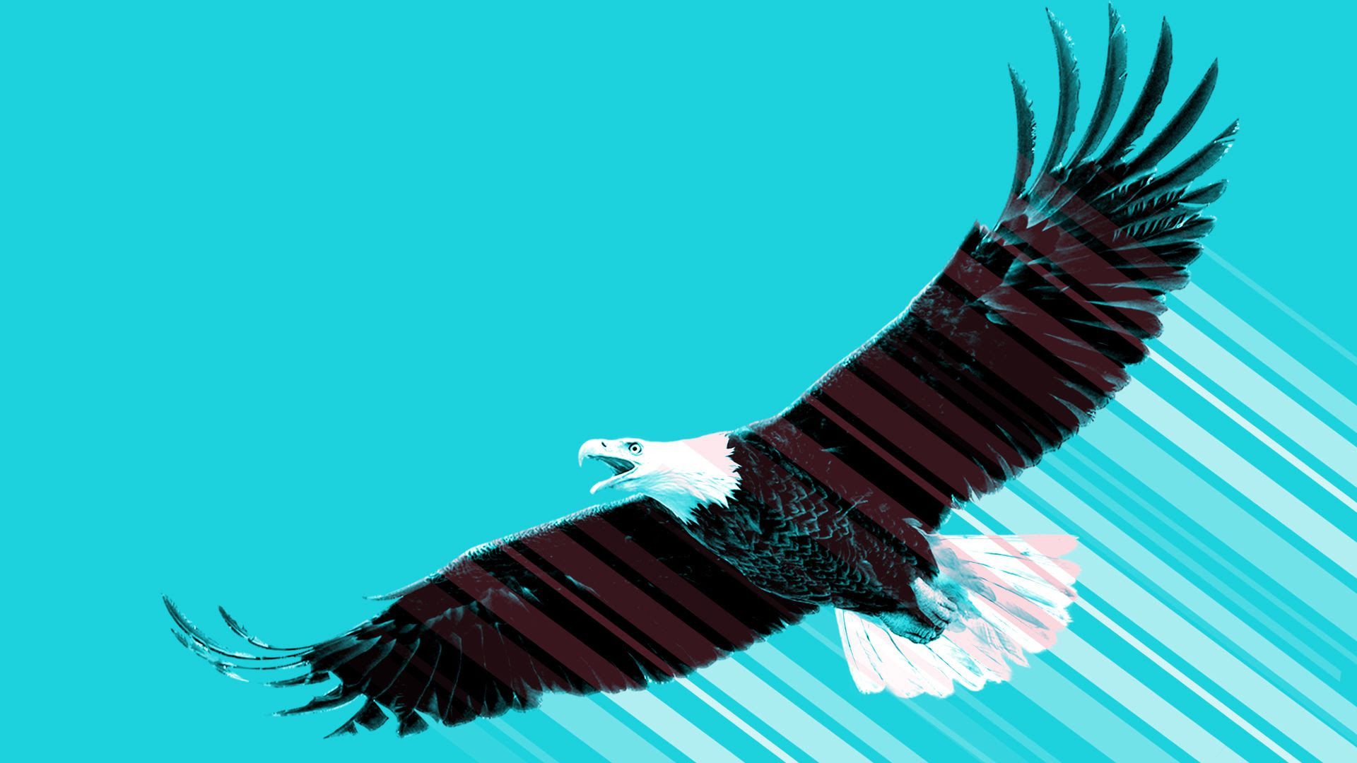 Illustration of eagle flying on blue background. 