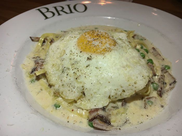 brio-carbonara