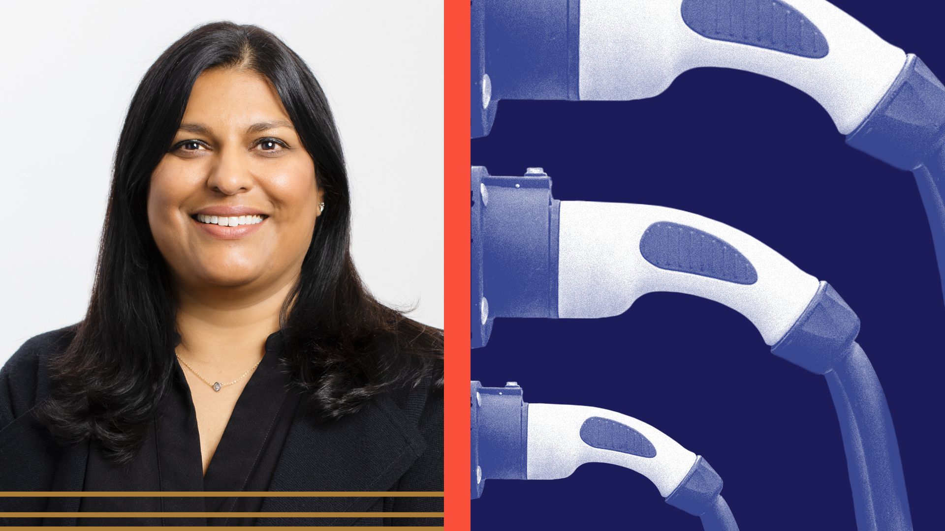 Photo illustration of Neha Palmer.