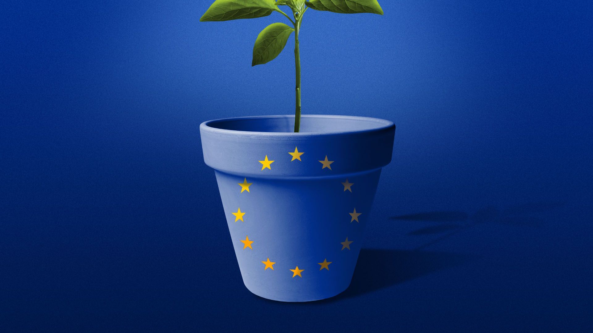 Illustration of a small plant growing in a pot with the EU flag on the front