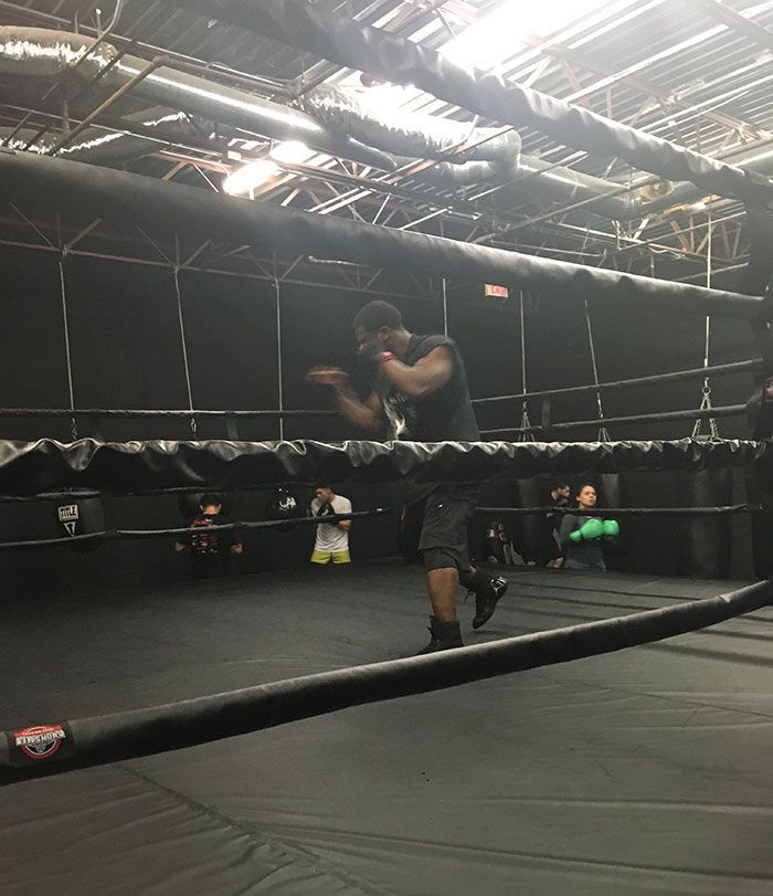 lee-the-silverback-training