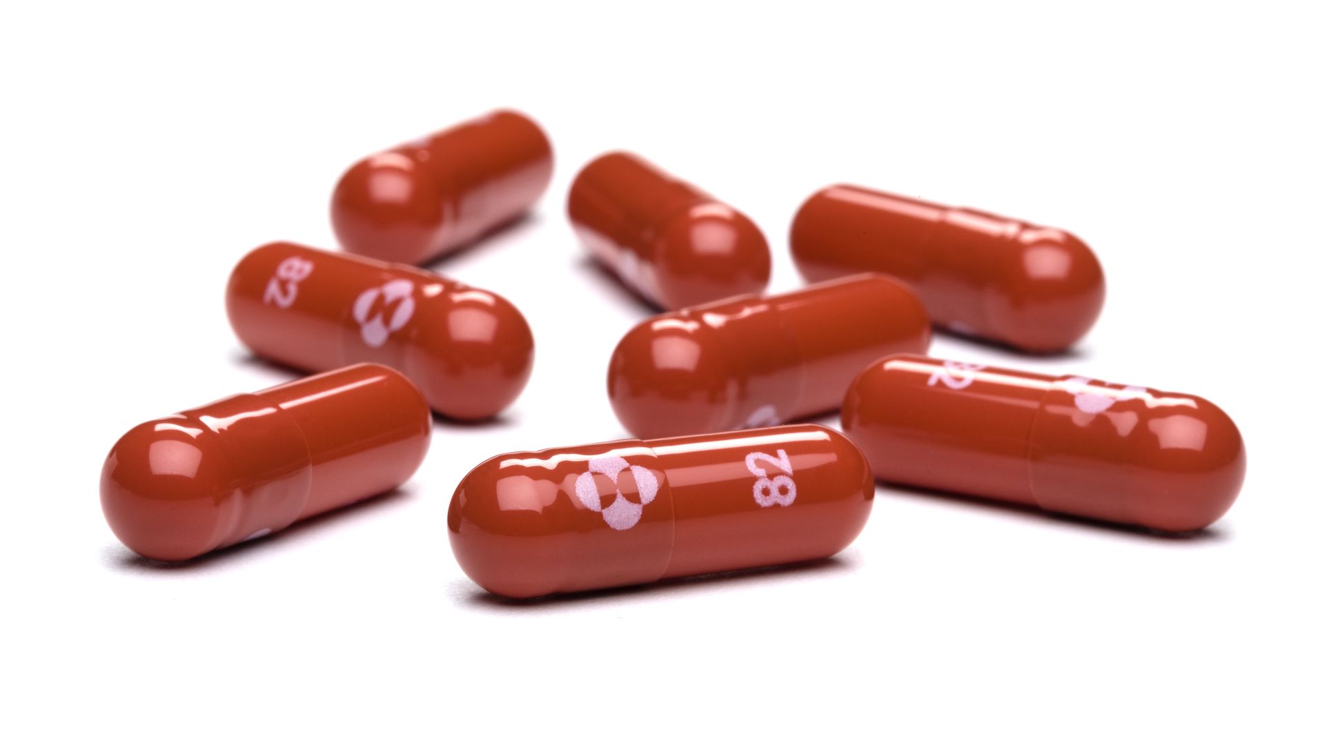 A photo of capsules of Merck and Ridgeback Biotherapeutics' Molnupiravir antiviral COVID pill.