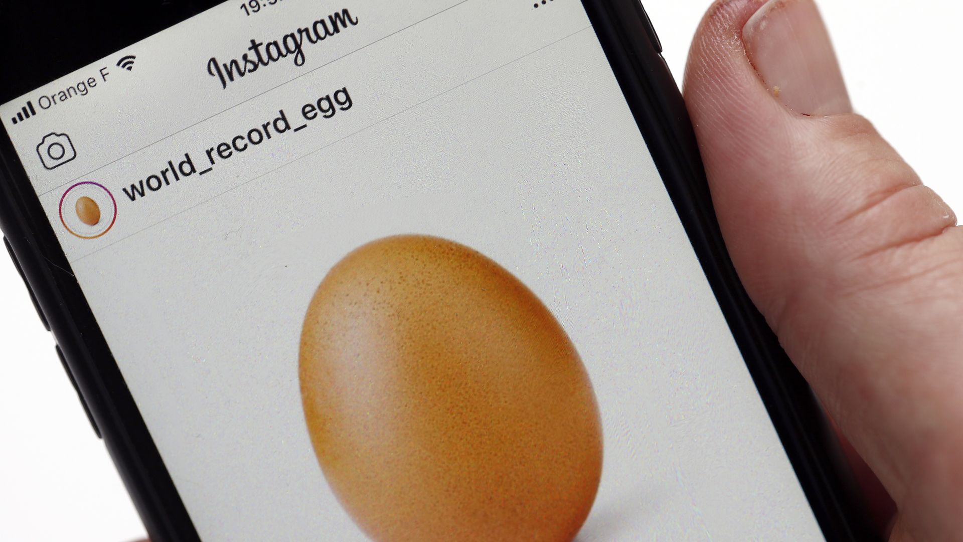 Photo of a person holding a phone with the world record egg Instagram account showing