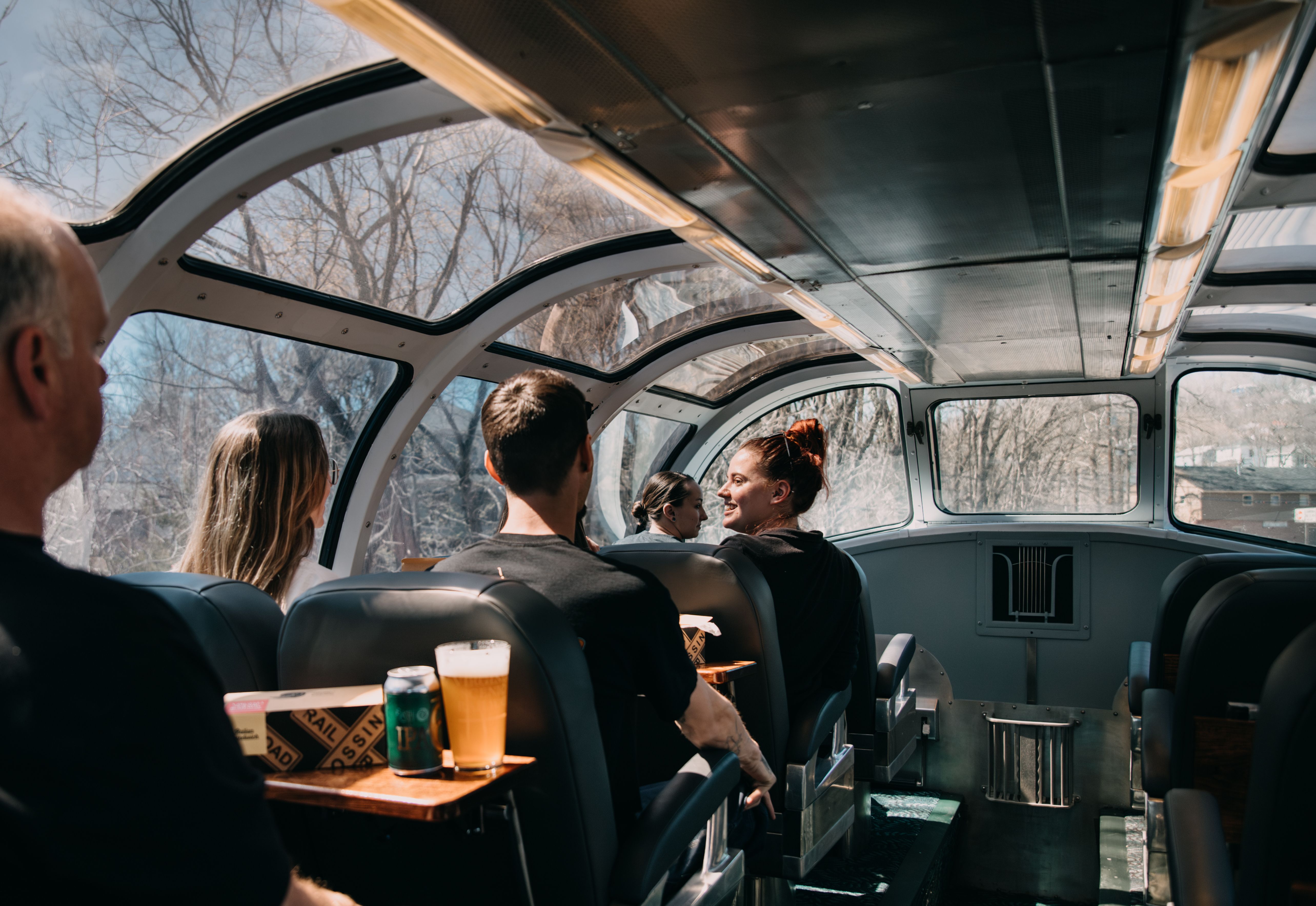 people sit in a dome car and look all around
