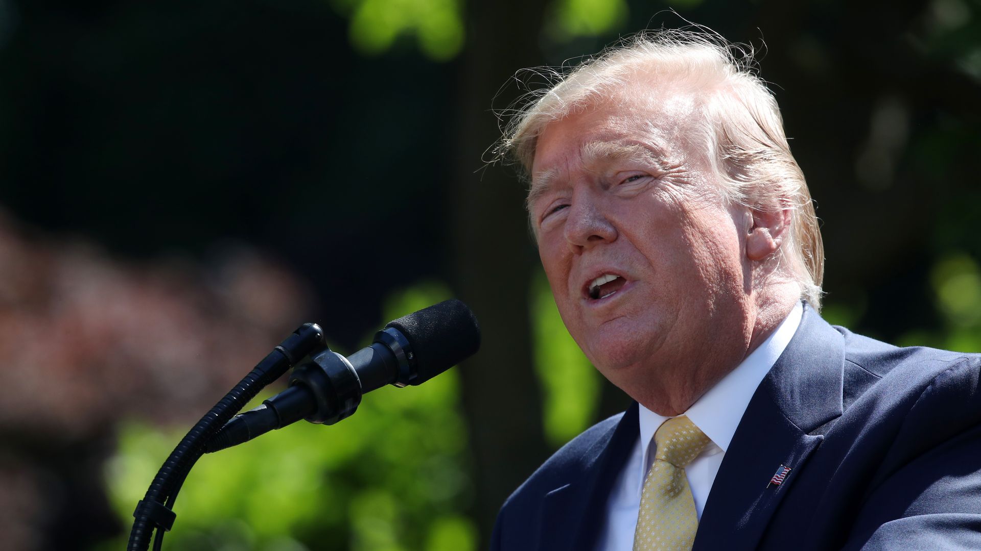 President Donald Trump