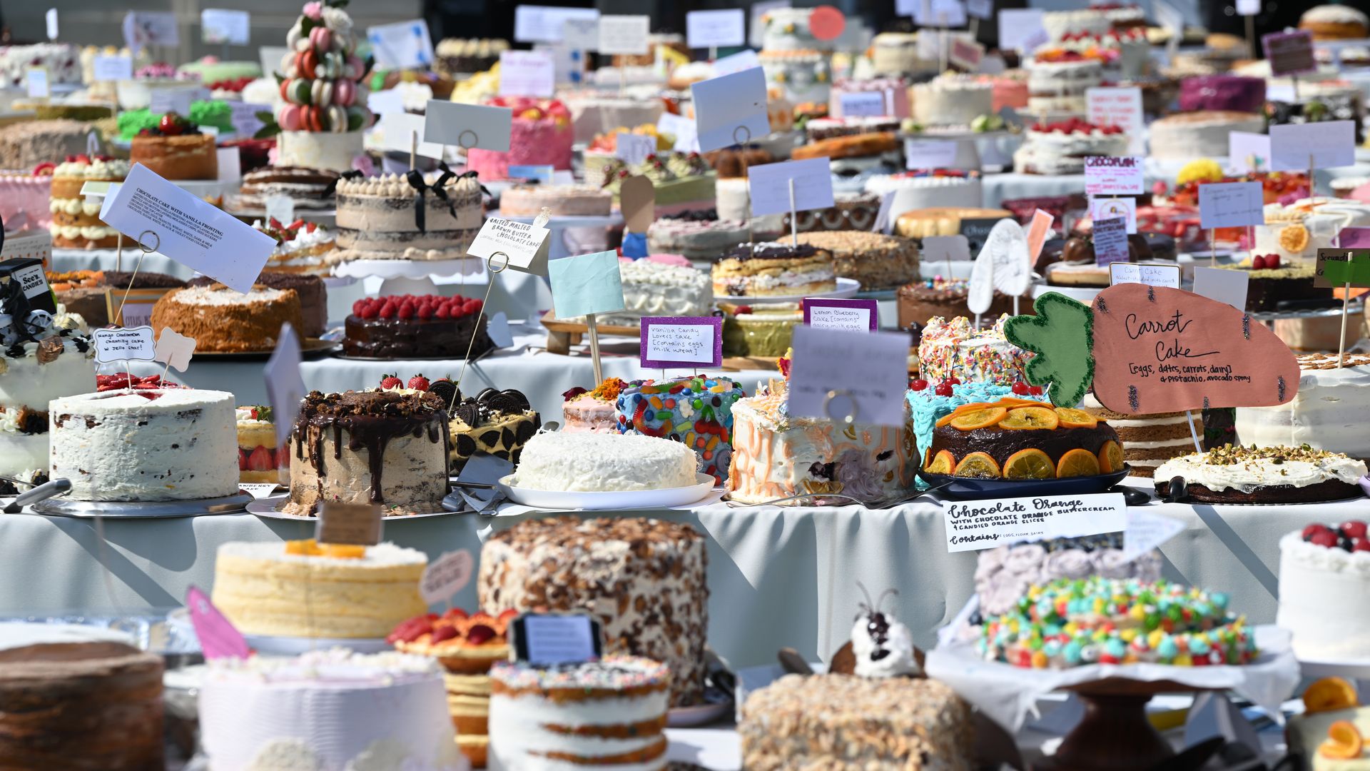 The massive Cake Picnic celebrates the dessert in all of its forms. Photo:Tayfun Coskun/Anadolu via Getty Images