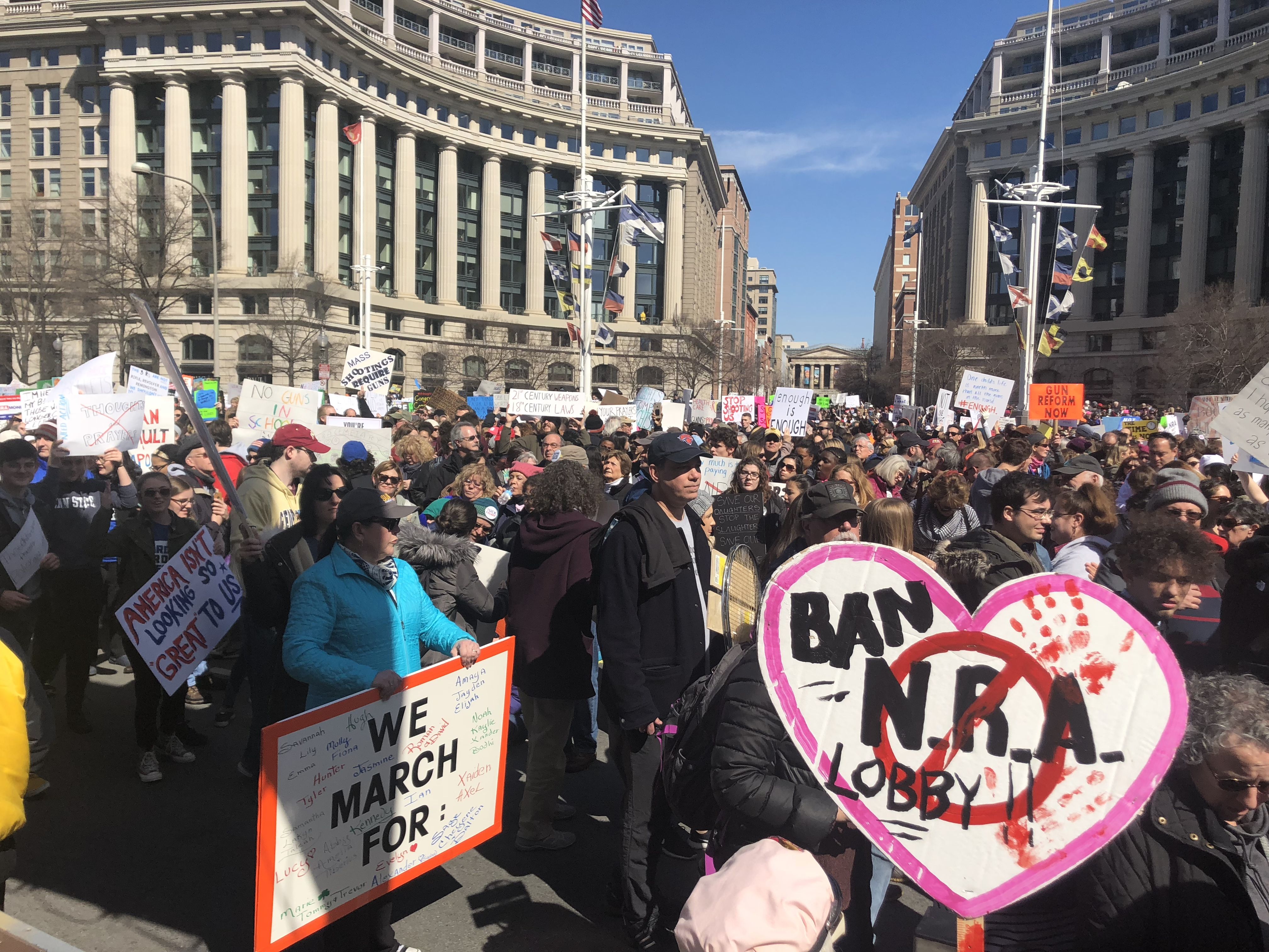 Protestors at D.C.'s March for our Lives.