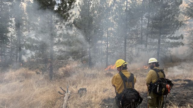 WA to burn 2,100 acres in effort to prevent more severe wildfires later ...